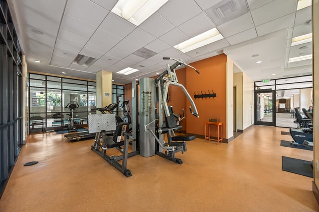 The_Pasea_Gym_6